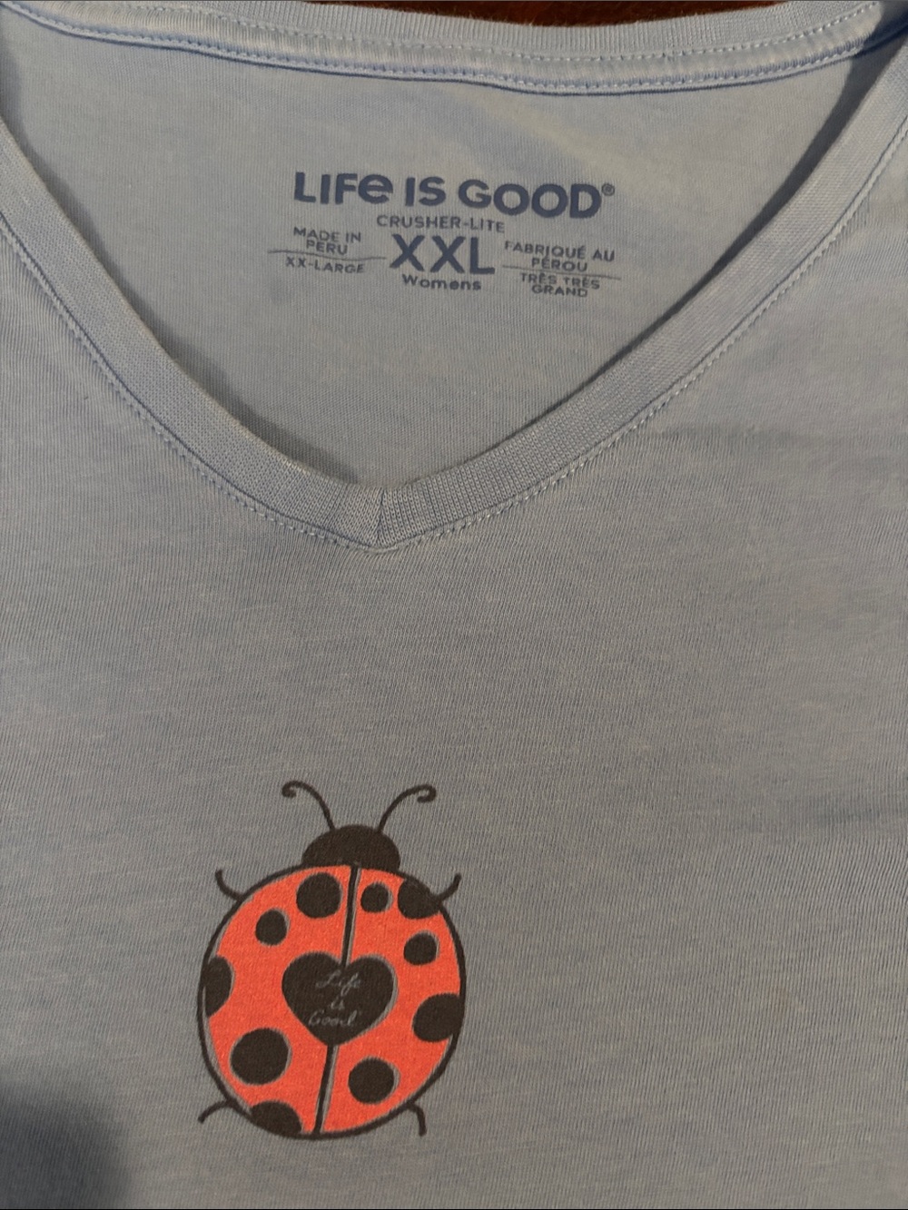 Life Is Good Light Blue Tee with Red & Black Ladybug Graphic
